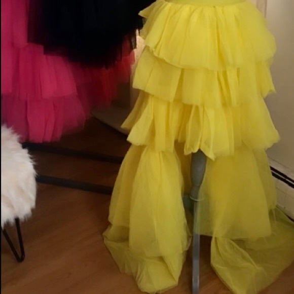 Tulle Skirt - Picture 2 of 7